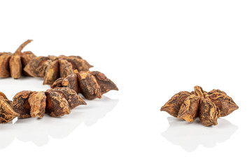 Lot of whole aromatic brown badian one separated isolated on white background