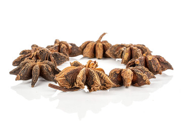 Lot of whole aromatic brown badian ring isolated on white background