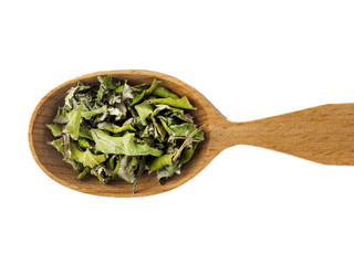 Dry Tussilago farfara or mother and stepmother in wooden spoon on white background