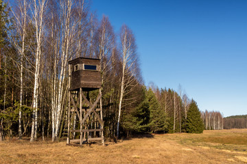 Puszcz Knyszyńska, łagodna zima 2020, anomalie pogodowe, Podlasie, Polska © podlaski49