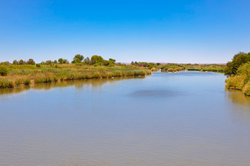 Main channel of Orange River flowing around island