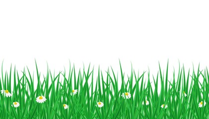Vector horizontal endless border with green grass and blooming Bellis flowers. Spring or summer background for decoration, sale, offers, print. Floral seamless pattern with copy space. © Olga