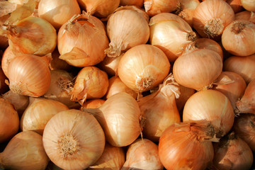 onions
