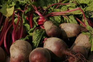 beetroots
