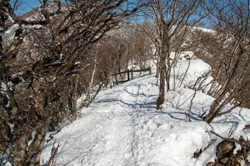 雪山 登山道