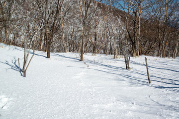雪山のトレース