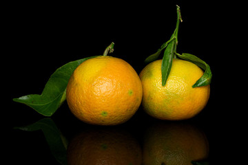 Group of two whole fresh orange mandarin isolated on black glass