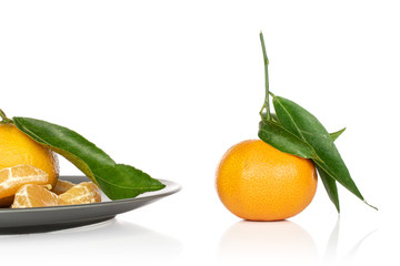 Group of two whole four pieces of fresh orange mandarin on gray ceramic plate isolated on white background
