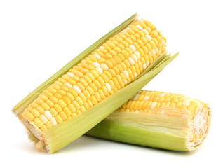 fresh corn fruits with green leaves isolated on white background