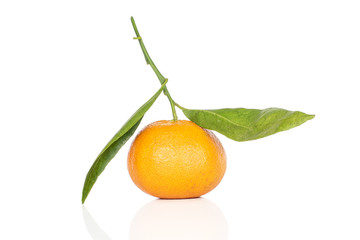 One whole fresh orange mandarin isolated on white background