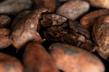 Lot of whole fresh brown cocoa bean macro isolated on black glass