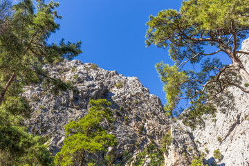 Beautiful green mountains of canyon and blue sky. Horizontal photography of turkish sunny landscape.