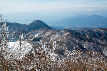 低地