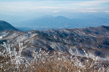 低地