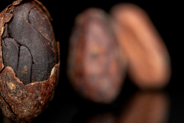 Group of three whole fresh brown cocoa bean one in focus isolated on black glass
