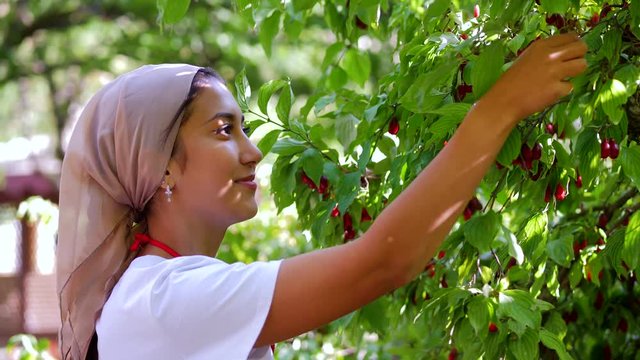 A beautiful young girl picked dogwood in an apron
