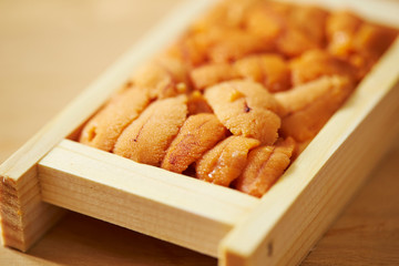 A pack of fresh raw sea urchin