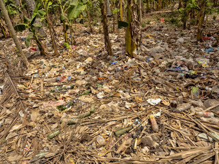 Garbage Infested Palmeria, Nusa Penida, Indonesia
