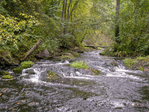 River Grove