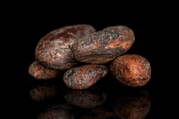 Group of five whole fresh brown cocoa bean isolated on black glass