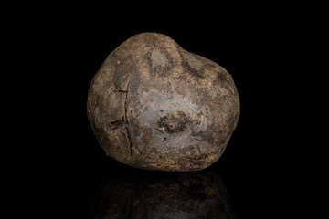 One whole raw sweet beetroot isolated on black glass