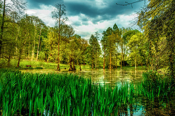 Obraz premium Der Park