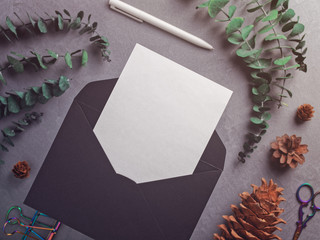 A blank sheet of paper is in a black envelope on a gray background. Nearby are eucalyptus branches and cones, a pen, scissors and a paper clip. Flat lay. Copy space.