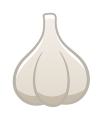 Cartoon style isolated garlic on white background