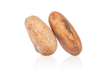 Obraz premium Two whole fresh brown cocoa beans isolated on white background
