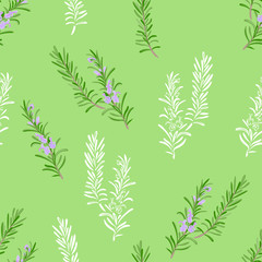 Rosemary branches seamless pattern. Vector cartoon color illustration of green blooming herbs on green background. White outline.