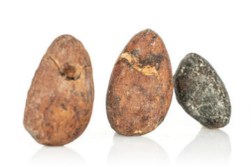 Group of three whole fresh brown cocoa bean isolated on white background