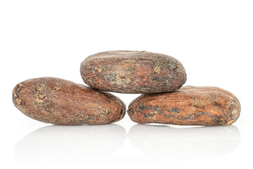 Fototapeta na wymiar Group of three whole fresh brown cocoa bean isolated on white background