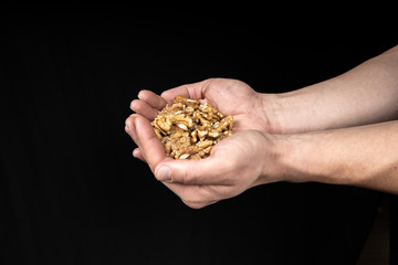 Peeled walnut kernels in male hands on a black background