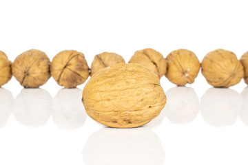 Lot of whole tasty brown walnut one in focus isolated on white background