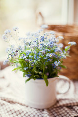 forget-me-not