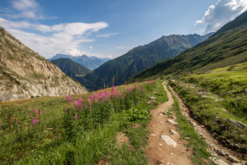 A stunning hiking trail in summer in the European Alps