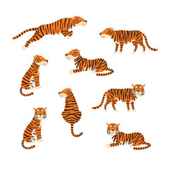 Fototapeta na wymiar Powerful tiger in different actions set of cartoon vector Illustrations