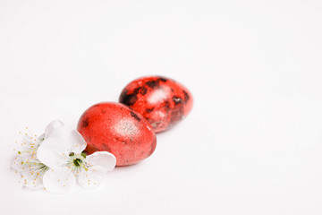 Red easter eggs and white spring flowers on a white background closeup, soft focus. Easter background. 	