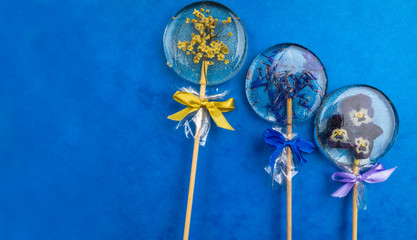 Round lollipop with blue cornflower, pansies on trendy blue classic background, flat lay minimal concept, trendy pop art style photo, isolated