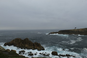 Obraz premium CCliffs, waves and fog in Atlantic Ocean near A coruna.
