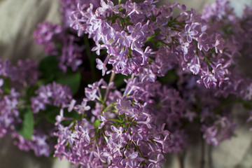 Obraz premium closeup of purple lilac flowers on wooden background