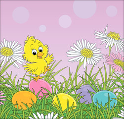 Little yellow chick among colorful flowers and painted Easter eggs in thick green grass on a sunny spring day, vector cartoon illustration for a greeting card