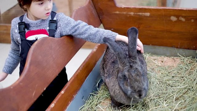 A child A child stroking a giant decorative rabbitstroking a giant decorative rabbit