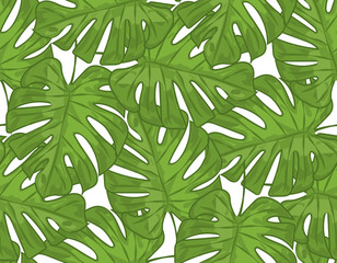 Monstera leaves - seamless pattern.
