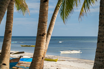 Philippines white beach at island siquijor at sunset with palm tree coconut tree and banca boat