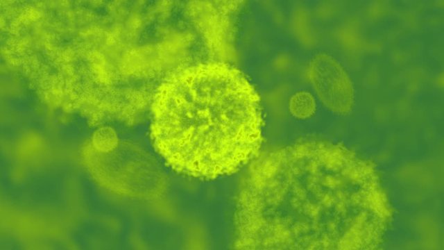 Advance head up display of electron microscope scanning airborne virus outbreak showing the anatomy of the virus in close up details