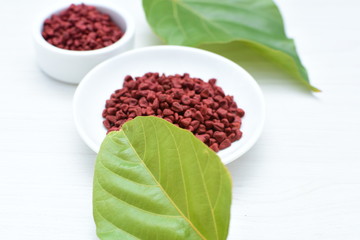 Achiote seed called Bixa orellana of America, used to flavor food