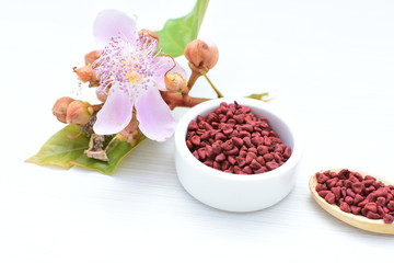 Achiote seed called Bixa orellana of America, used to flavor food