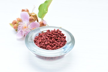 Achiote seed called Bixa orellana of America, used to flavor food