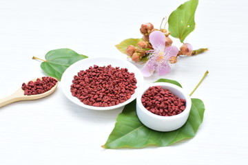 Achiote seed called Bixa orellana of America, used to flavor food